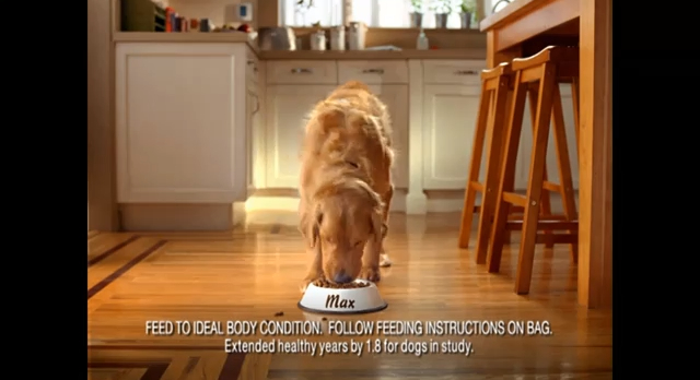 Tips for a diet to lose weight image 6