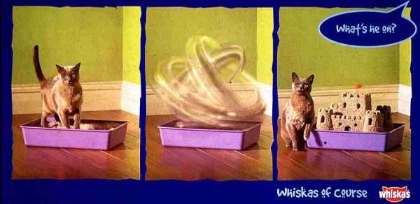 Orijen Cat Food Australia Orijen Cat Food Australia
