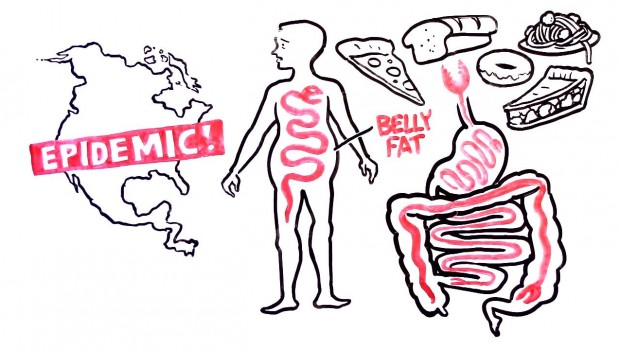 250m Americans Infected – The American Parasite