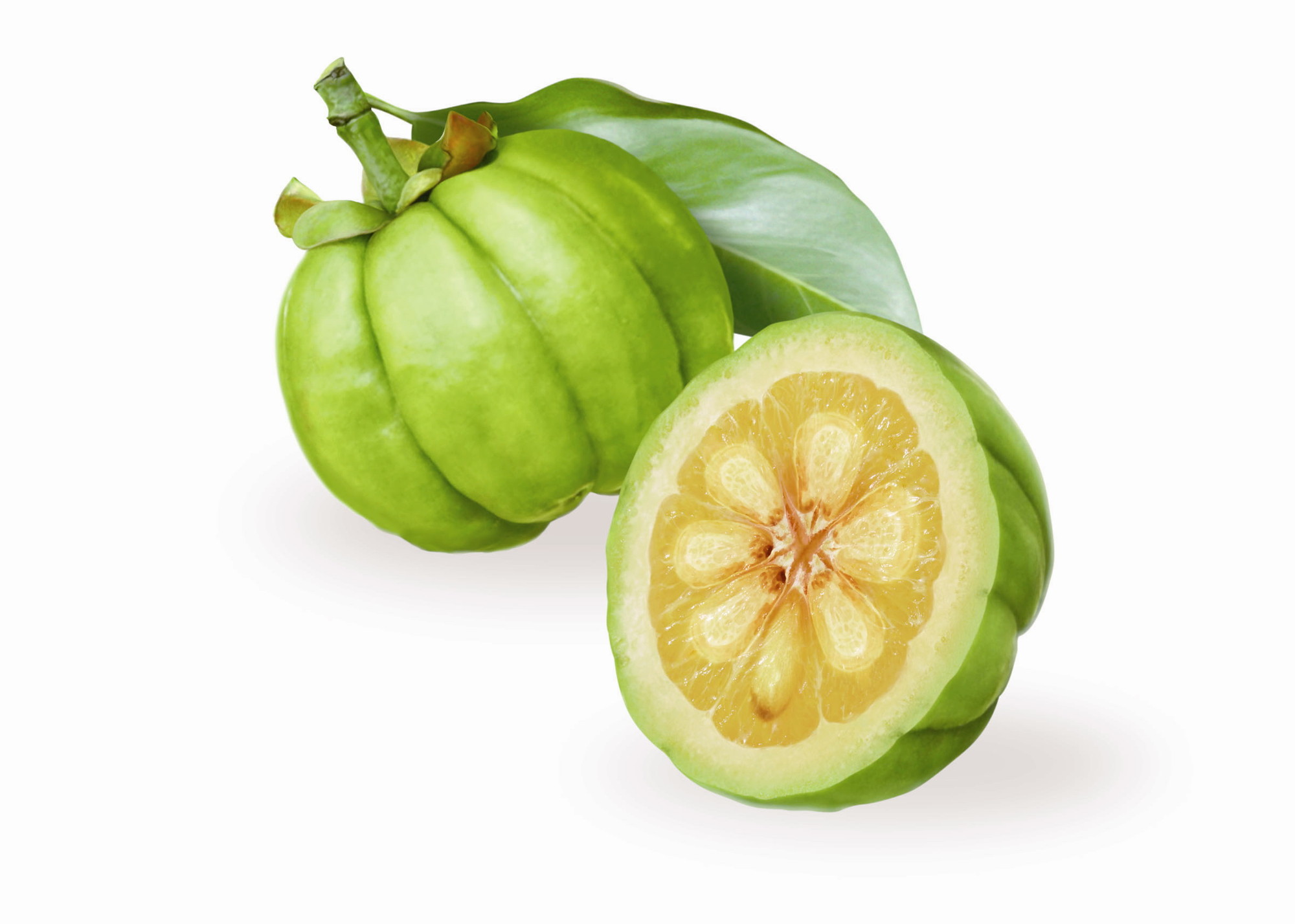 garcinia cambogia zt allure truth in advertising