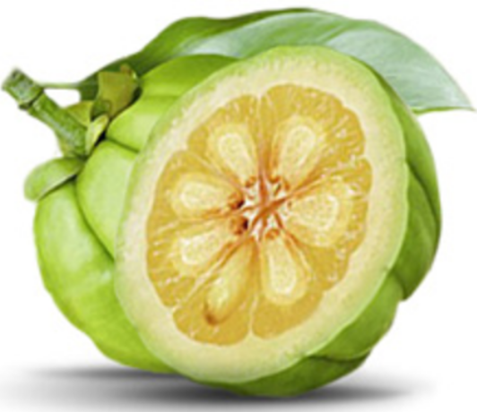 garcinia cambogia zt allure truth in advertising