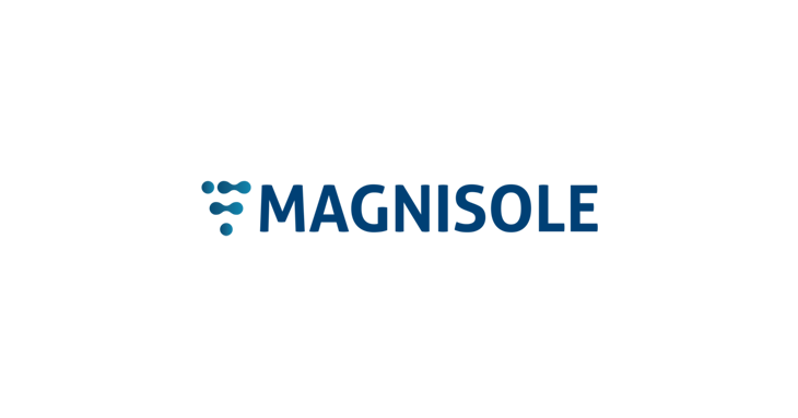 magnisoles insoles